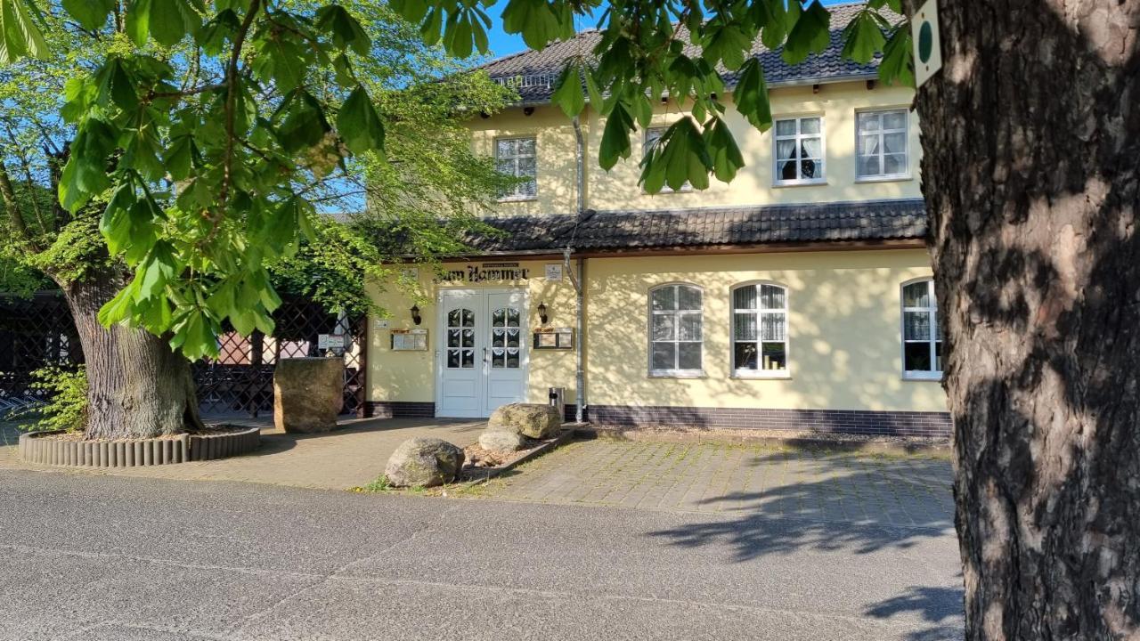 Wirtshaus & Pension "Zum Hammer" Neustadt (Spreetal) Exterior foto